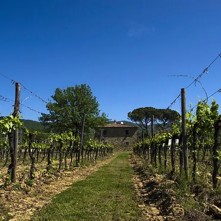 Agriturismo la Concezione-3